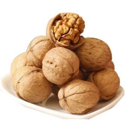 Walnuts Inshell (Akhrot Aakha)